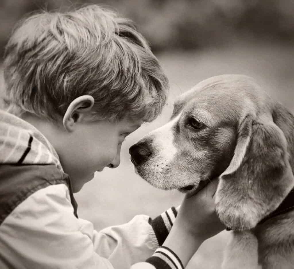 How to help kids cope when losing a pet.