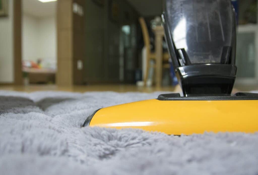 The best pet hair removal tool is a good vacuum!