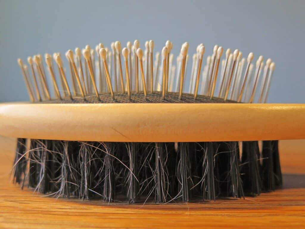 Remove cat or dog hair with a good brush.