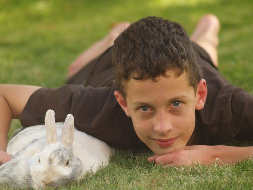 Rabbits like to stay on the floor. So get down on their level to play with them.