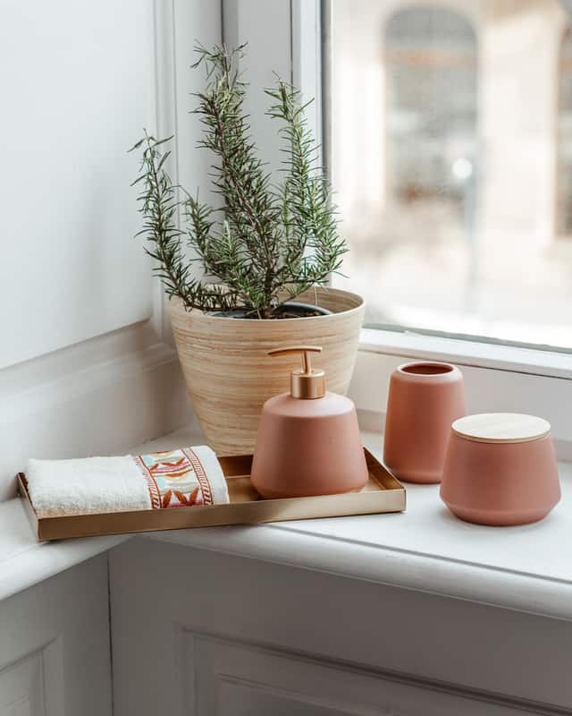 Rosemary winter houseplant