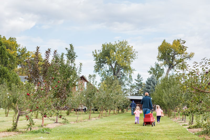 sustainable family activity - going to a u-pick farm